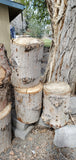 Wood Log Round Stump
